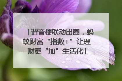 谐音梗联动出圈，蚂蚁财富“指数+”让理财更“加”生活化