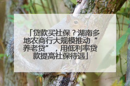 贷款买社保？湖南多地农商行大规模推动“养老贷”，用低利率贷款提高社保待遇