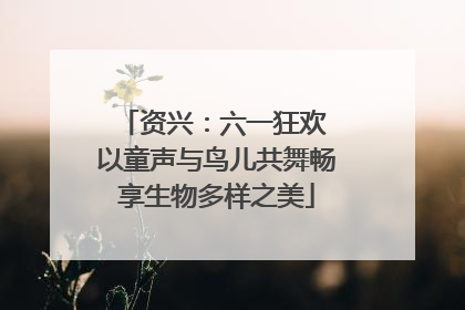 资兴：六一狂欢 以童声与鸟儿共舞畅享生物多样之美