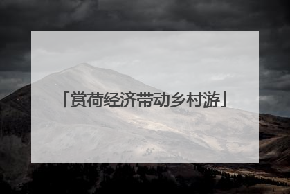 赏荷经济带动乡村游