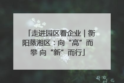 走进园区看企业｜衡阳蒸湘区：向“高”而攀 向“新”而行