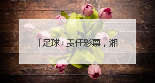 足球+责任彩票，湘潭体彩助力市运会