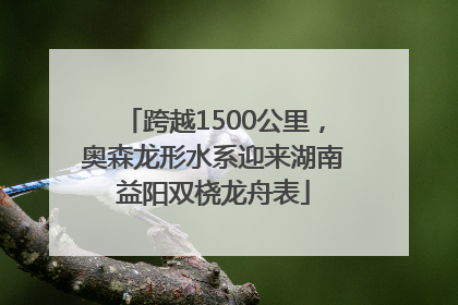 跨越1500公里，奥森龙形水系迎来湖南益阳双桡龙舟表