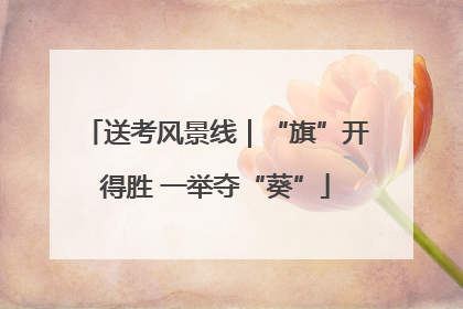 送考风景线｜“旗”开得胜 一举夺“葵”