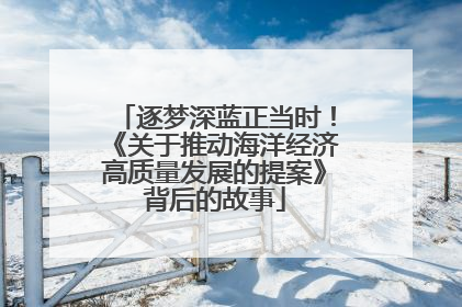 逐梦深蓝正当时！《关于推动海洋经济高质量发展的提案》背后的故事