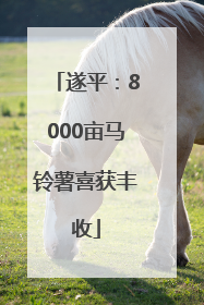 遂平：8000亩马铃薯喜获丰收