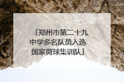 郑州市第二十九中学多名队员入选国家荷球集训队