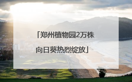 郑州植物园2万株向日葵热烈绽放