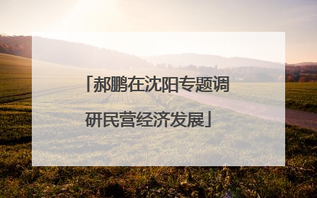 郝鹏在沈阳专题调研民营经济发展