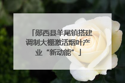 郧西县羊尾镇搭建调制大棚激活烟叶产业“新动能”
