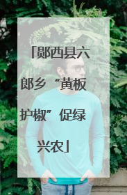 郧西县六郎乡“黄板护椒”促绿兴农