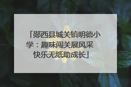 郧西县城关镇明德小学：趣味闯关展风采 快乐无纸助成长