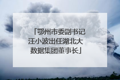 鄂州市委副书记汪小波出任湖北大数据集团董事长