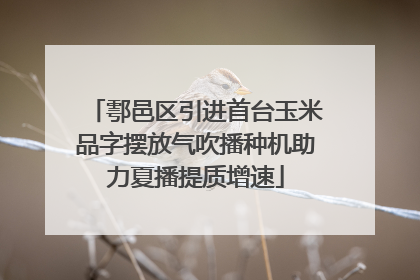 鄠邑区引进首台玉米品字摆放气吹播种机助力夏播提质增速