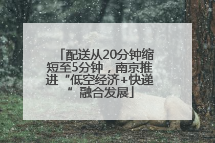 配送从20分钟缩短至5分钟，南京推进“低空经济+快递”融合发展