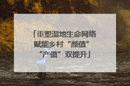重塑湿地生命网络 赋能乡村“颜值”“产值”双提升