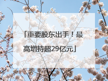 重要股东出手！最高增持超29亿元