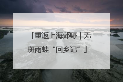 重返上海郊野｜无斑雨蛙“回乡记”