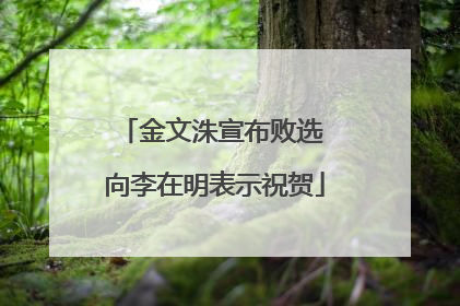 金文洙宣布败选 向李在明表示祝贺