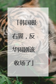 韩国极右翼，反华闹剧该收场了