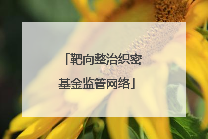 靶向整治织密基金监管网络