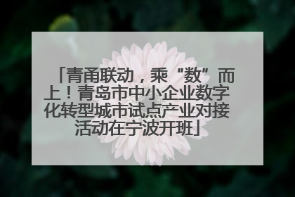 青甬联动，乘“数”而上！青岛市中小企业数字化转型城市试点产业对接活动在宁波开班