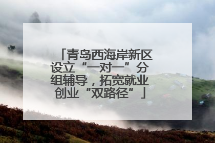 青岛西海岸新区设立“一对一”分组辅导，拓宽就业创业“双路径”