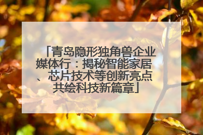 青岛隐形独角兽企业媒体行：揭秘智能家居、芯片技术等创新亮点 共绘科技新篇章