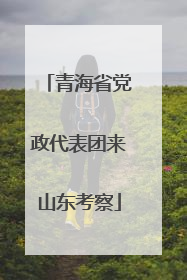 青海省党政代表团来山东考察