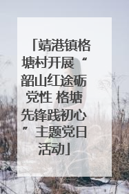 靖港镇格塘村开展“韶山红途砺党性 格塘先锋践初心”主题党日活动