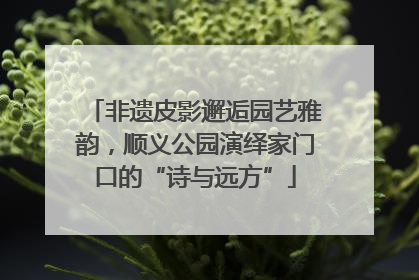 非遗皮影邂逅园艺雅韵，顺义公园演绎家门口的“诗与远方”