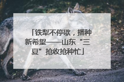 铁犁不停歇，播种新希望——山东“三夏”抢收抢种忙