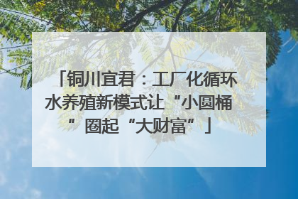 铜川宜君：工厂化循环水养殖新模式让“小圆桶”圈起“大财富”