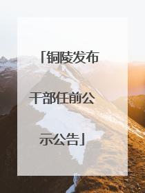 铜陵发布干部任前公示公告