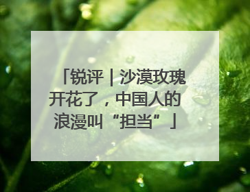 锐评｜沙漠玫瑰开花了，中国人的浪漫叫“担当”
