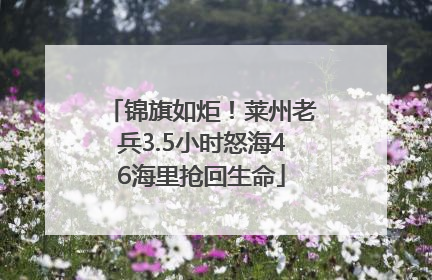 锦旗如炬！莱州老兵3.5小时怒海46海里抢回生命