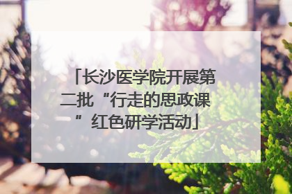 长沙医学院开展第二批“行走的思政课”红色研学活动