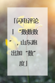 闪电评论丨“数数数”，山东跑出加“数”度