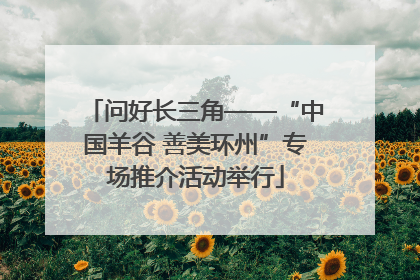 问好长三角——“中国羊谷 善美环州”专场推介活动举行