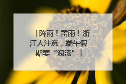 阵雨！雷雨！浙江人注意，端午假期要“泡汤”