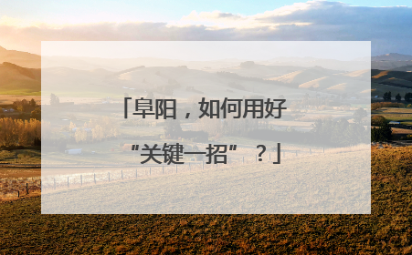 阜阳，如何用好“关键一招”？