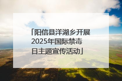 阳信县洋湖乡开展2025年国际禁毒日主题宣传活动