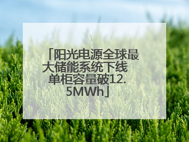 阳光电源全球最大储能系统下线 单柜容量破12.5MWh