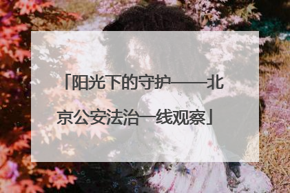 阳光下的守护——北京公安法治一线观察