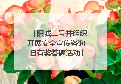 阳城二号井组织开展安全宣传咨询日有奖答题活动