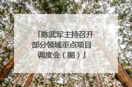 陈武军主持召开部分领域重点项目调度会（图）