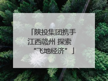 陕投集团携手江西赣州 探索“飞地经济”