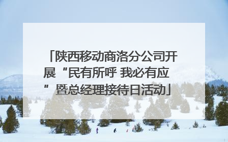 陕西移动商洛分公司开展“民有所呼 我必有应”暨总经理接待日活动