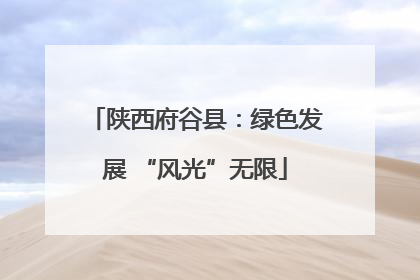 陕西府谷县：绿色发展 “风光”无限