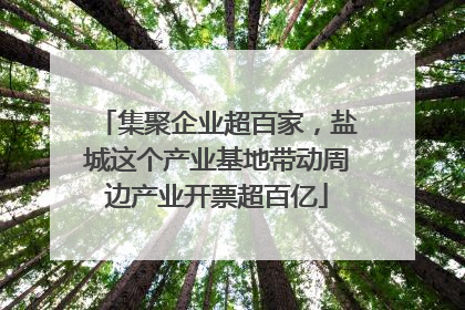 集聚企业超百家，盐城这个产业基地带动周边产业开票超百亿